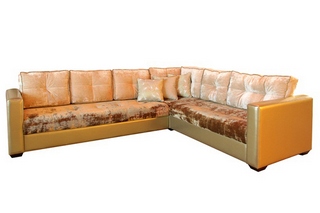 ����� ������ �������